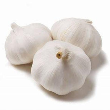 Garlic for Export Packed in 10kgs in Carton Mesh bag Fresh Pure White Garlic